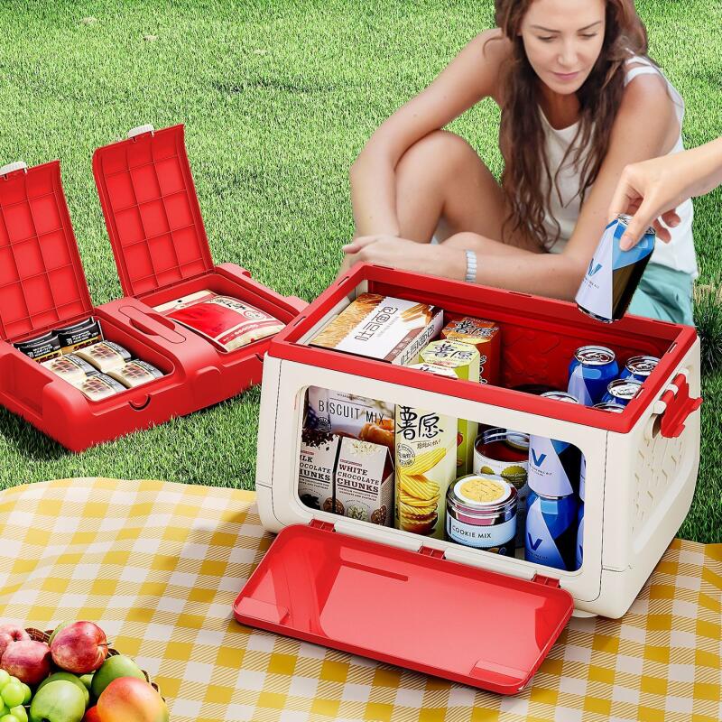 Disney Genuine Authorized Outd - đánh giá và giá Outdoor Camping Storage Box